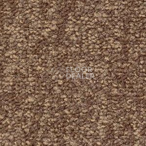 Ковролин Radici Trotter Cacao 9468 фото 1 | FLOORDEALER